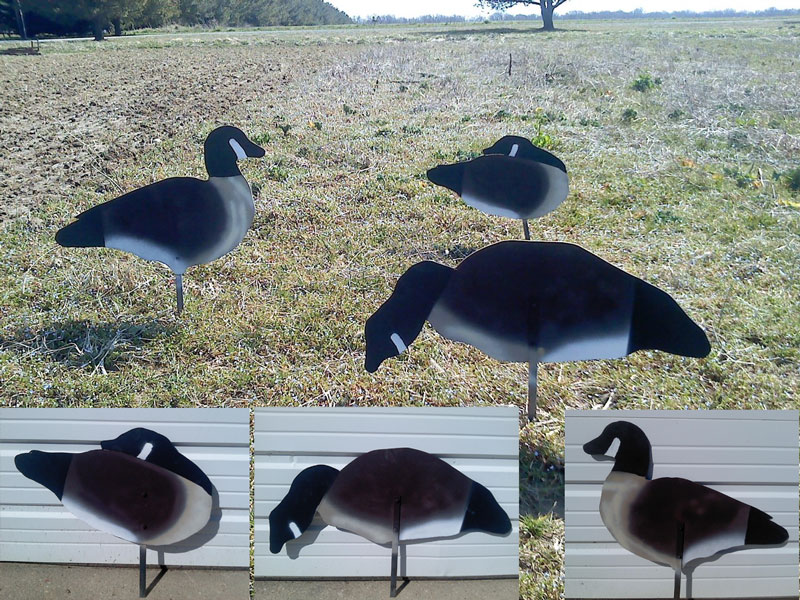 goose decoys