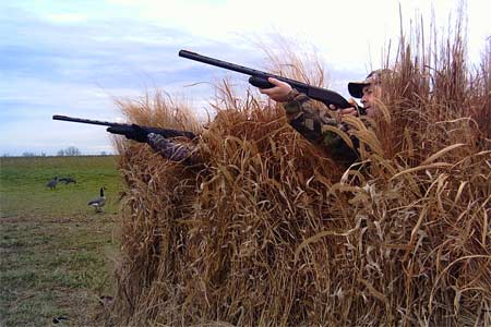 Maryland Hunting Canadian Geese