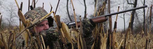 Maryland Goose Hunt