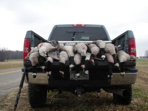 Dec 07 Goose Hunt - 5 man limit