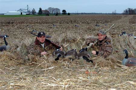 Canadian Goose Hunting Eastern Shore Maryland